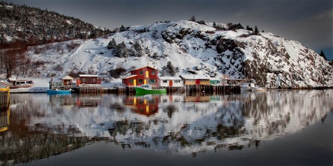 Quidi Vidi winter